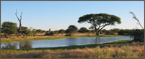 botswana