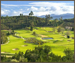 gallery golf 5