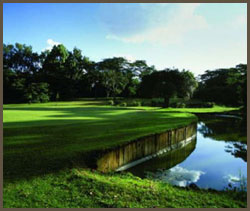 gallery golf 7