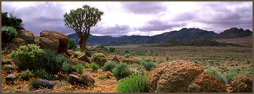South Africa Ladscape