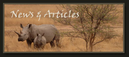 news & articles