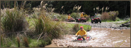 quad biking