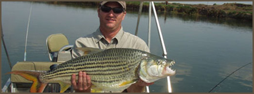 tiger fishing