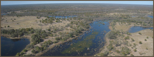 Okavanga delta