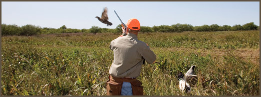 wing shooting
